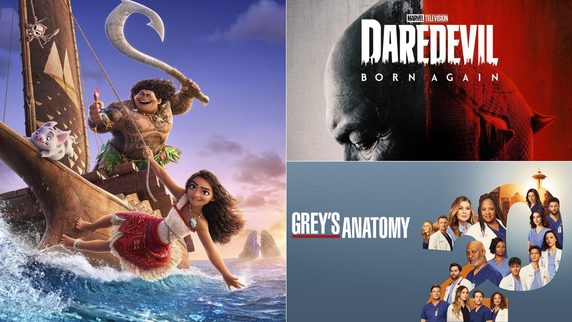 Imagen promocional dividida en tres partes mostrando a los personajes principales de Moana 2, el póster de Daredevil: Born Again y el elenco de la temporada 20 de Grey’s Anatomy.