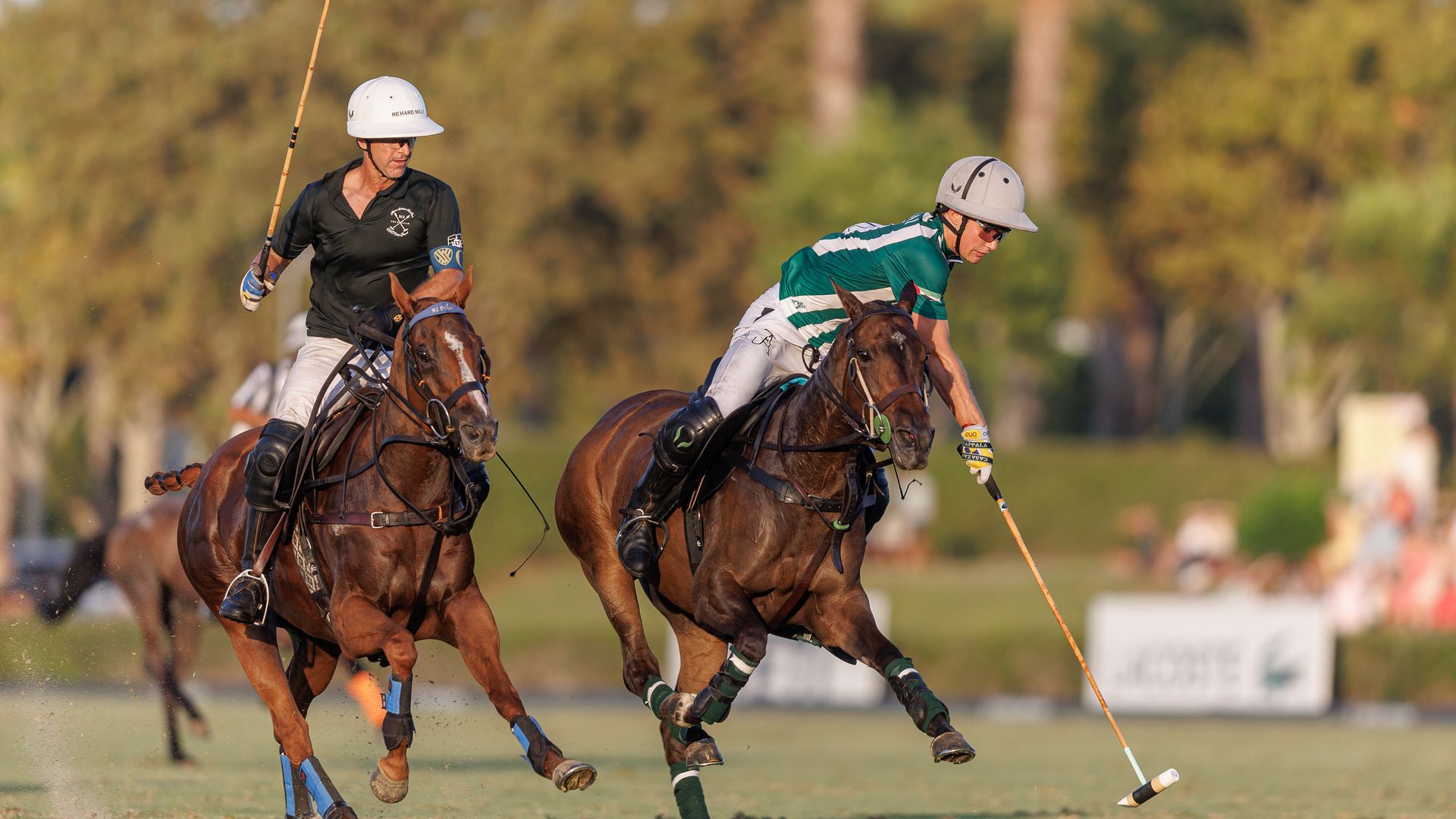 Los mejores jugadores del mundo y 1.000 caballos en la final de la Copa de Plata Terralpa del 53º Torneo Internacional de Polo de Sotogrande