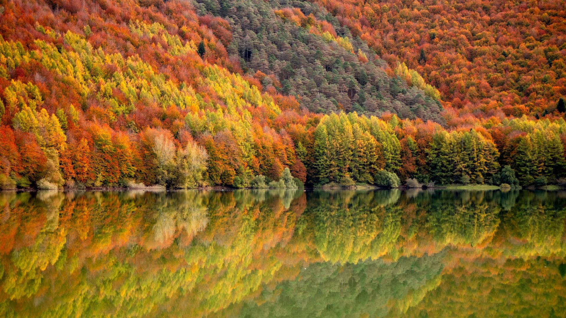 Los 15 bosques más bonitos y espectaculares de España para recorrer en otoño