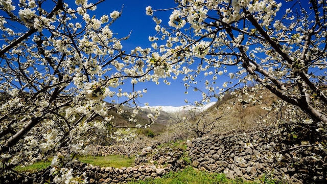 Piornal, valle del Jerte, Cáceres