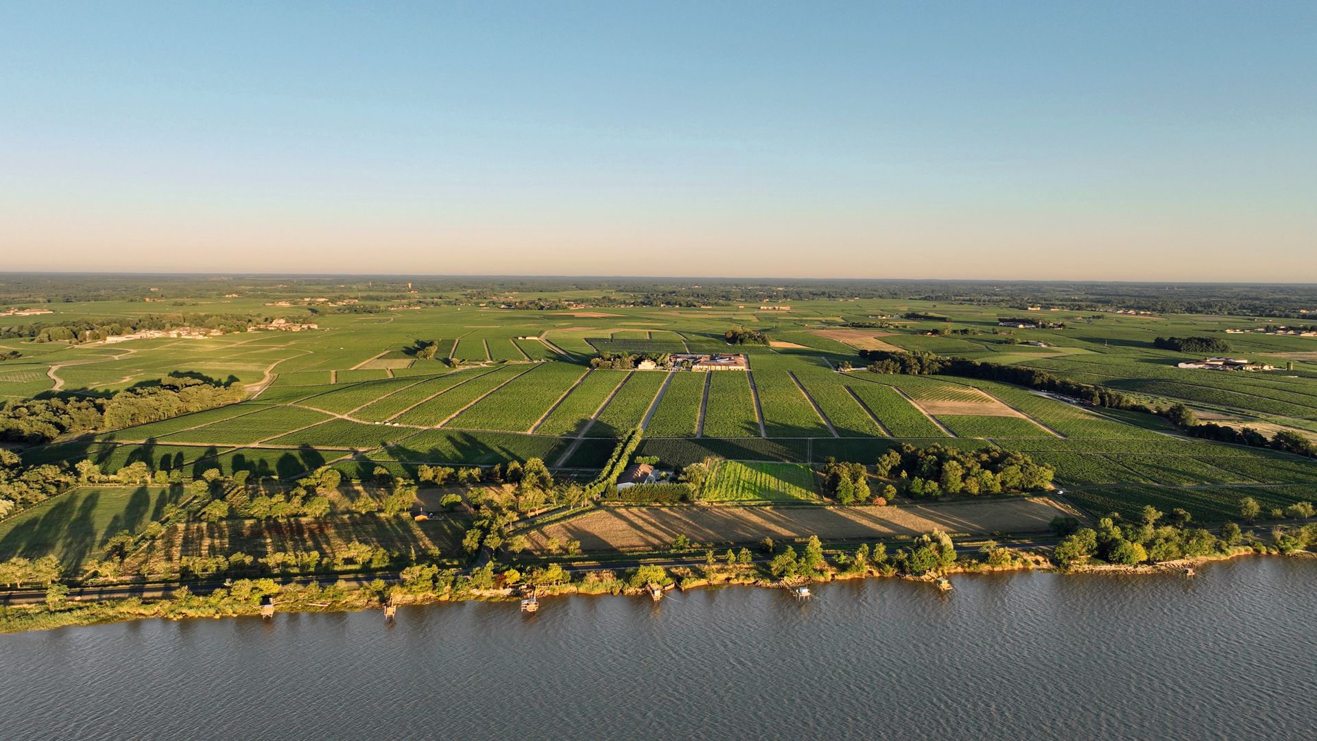 Charlotte Bouygues nos recibe en su fabuloso Château Montrose, un refugio familiar al norte de Burdeos, rodeado de viñedos y con una espectacular bodega