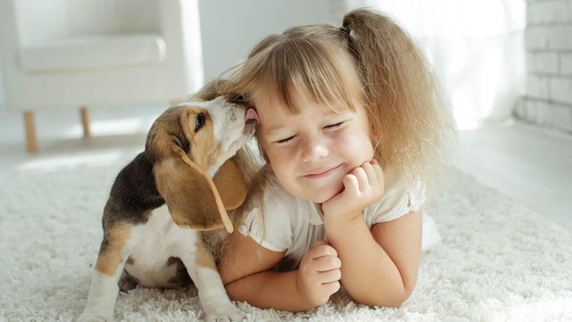 ¿Cuáles son las mejores mascotas para los niños?