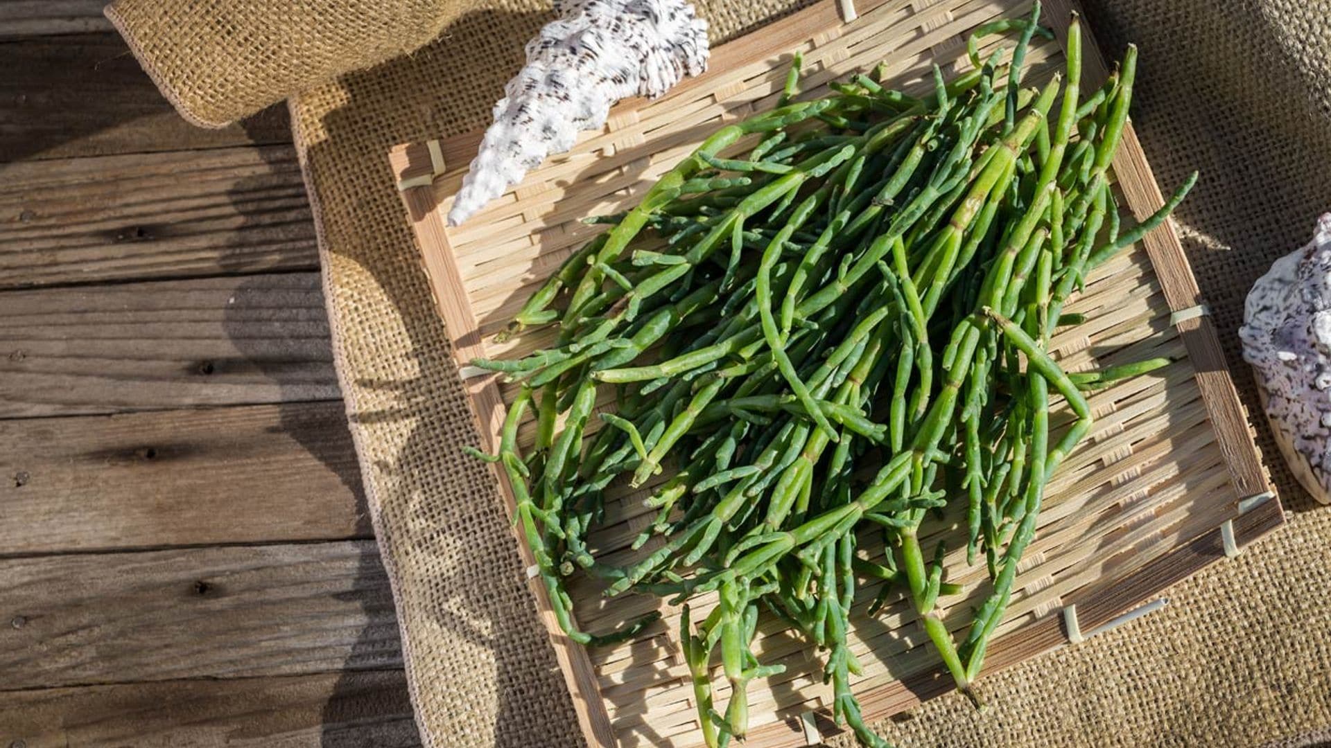 Salicornia: la verdura sostenible que crece en el desierto y en las costas