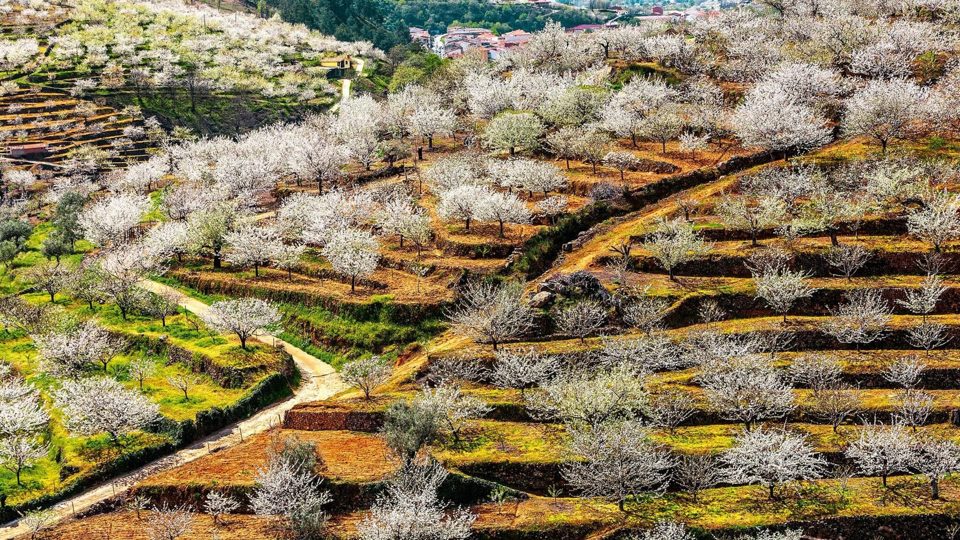 Valle del Jerte (Cáceres): rincones verdes del Jerte