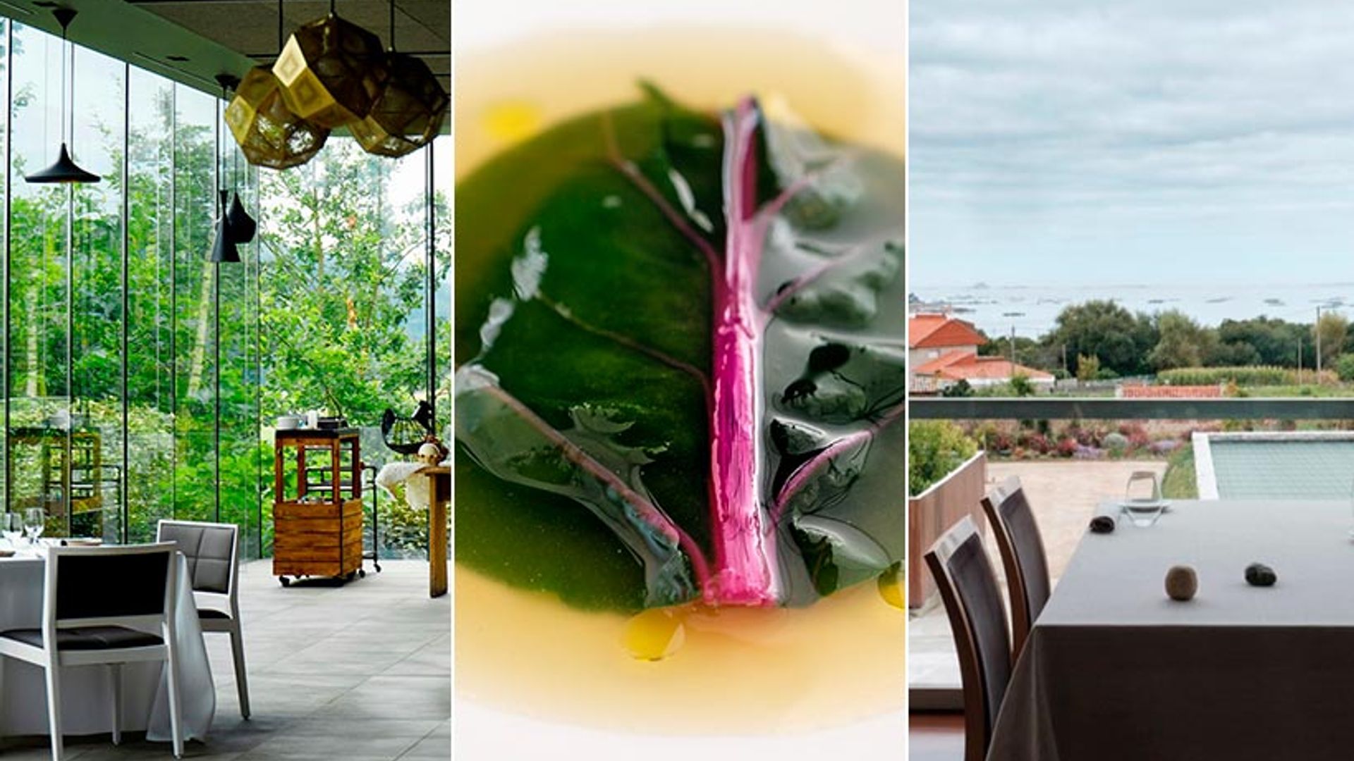 Ruta gastronómica por las Estrellas Verdes de la España verde