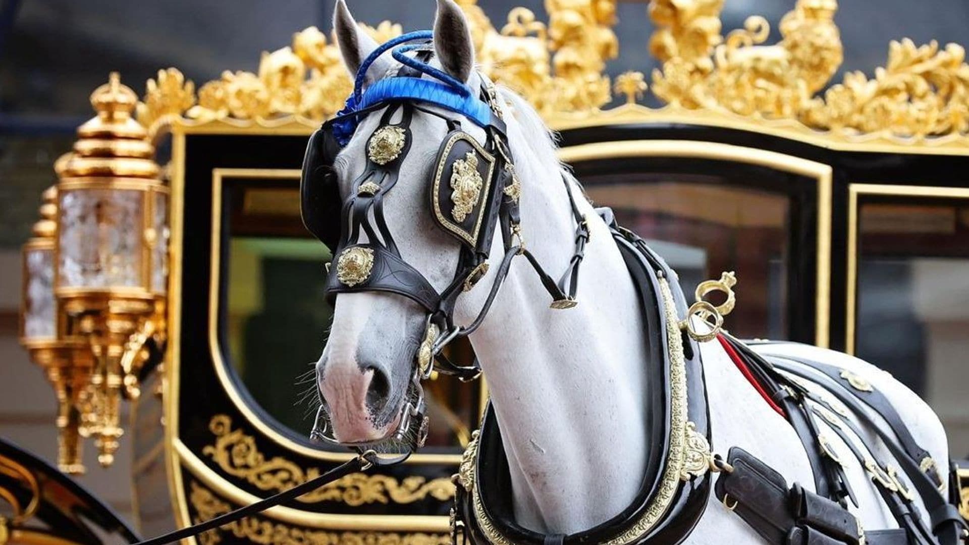 La conmovedora historia de Tyrone, el caballo más emblemático de la realeza