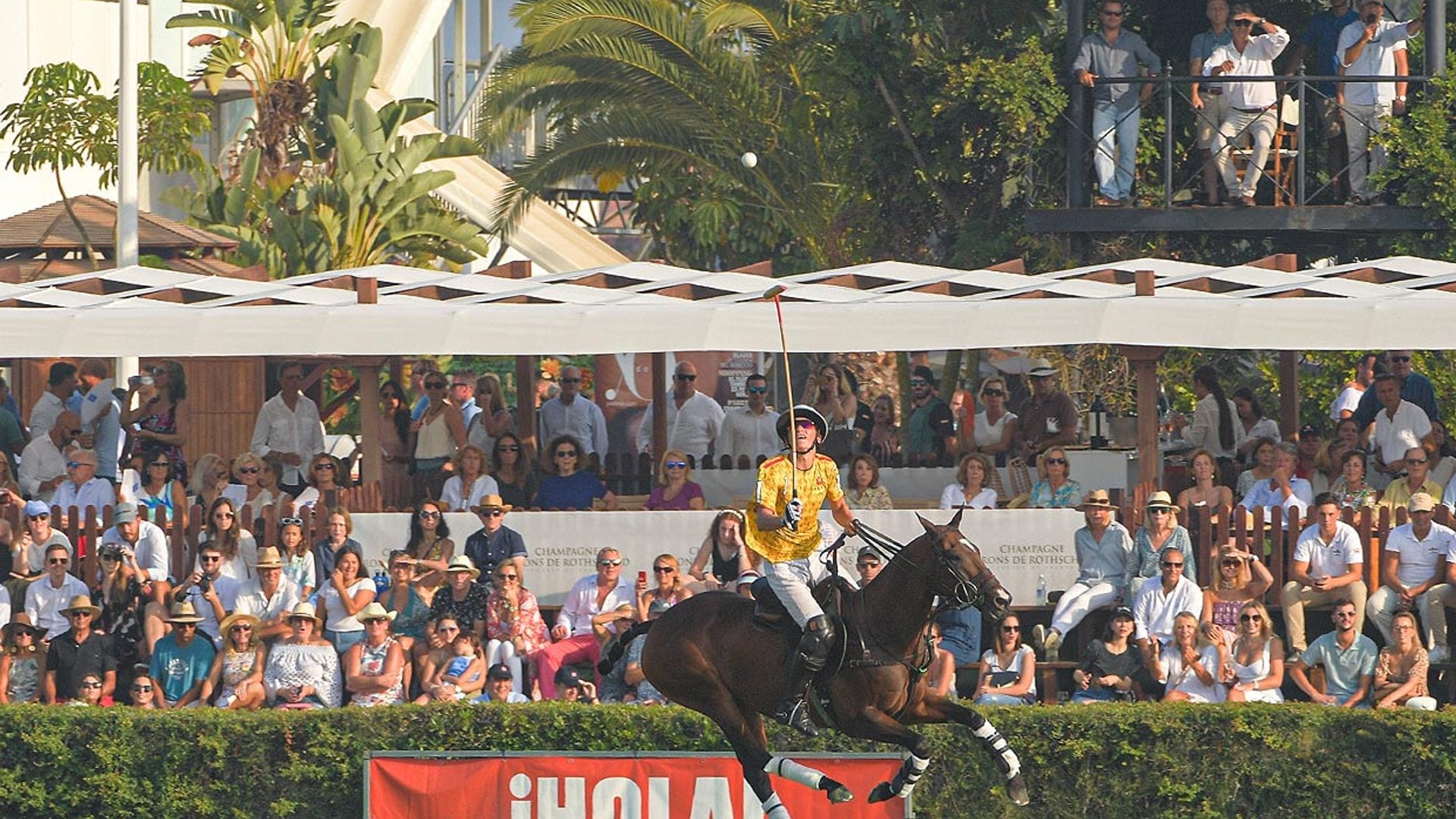 polo