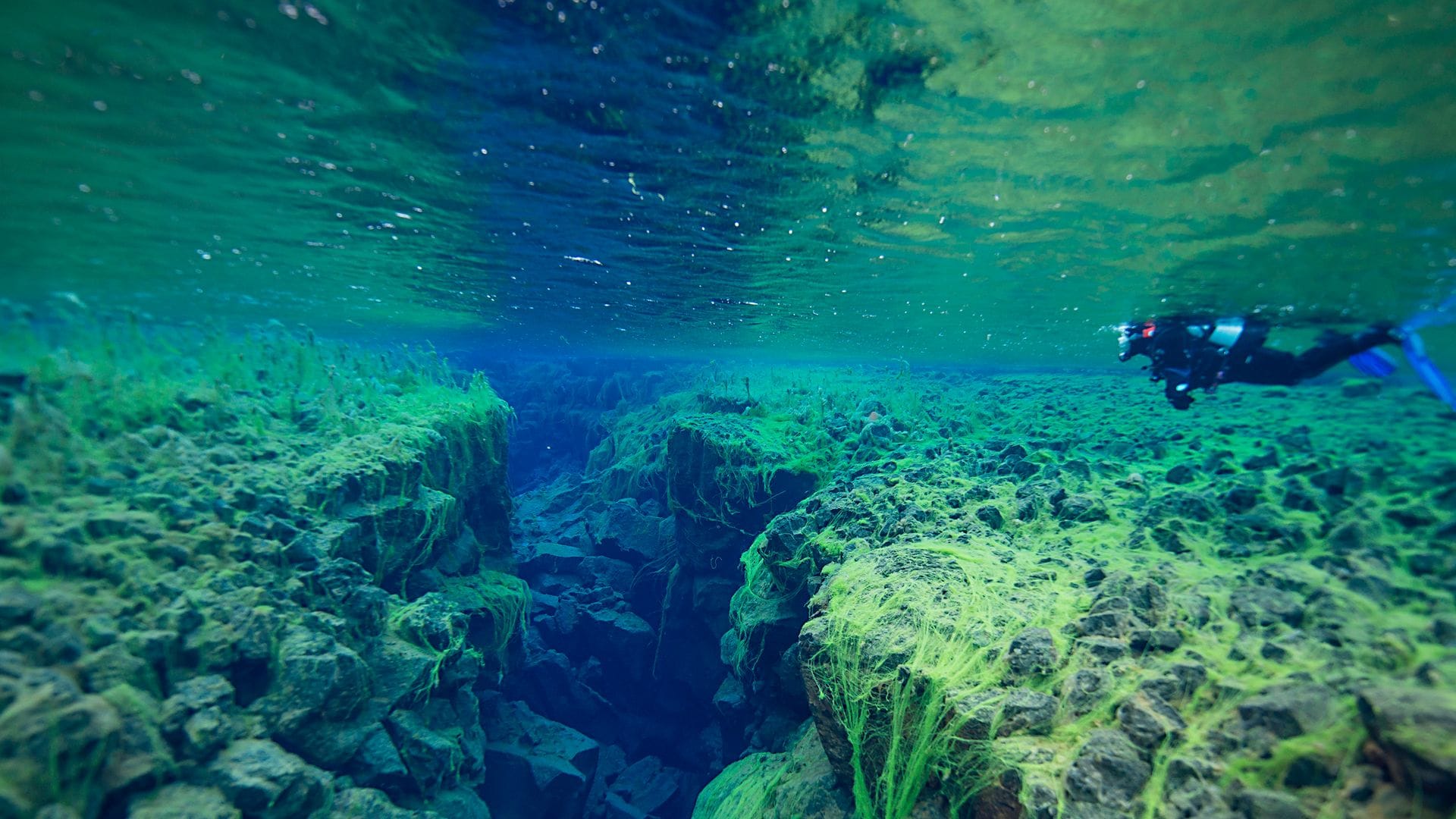 Buceando en la grieta de Silfra, Islandia