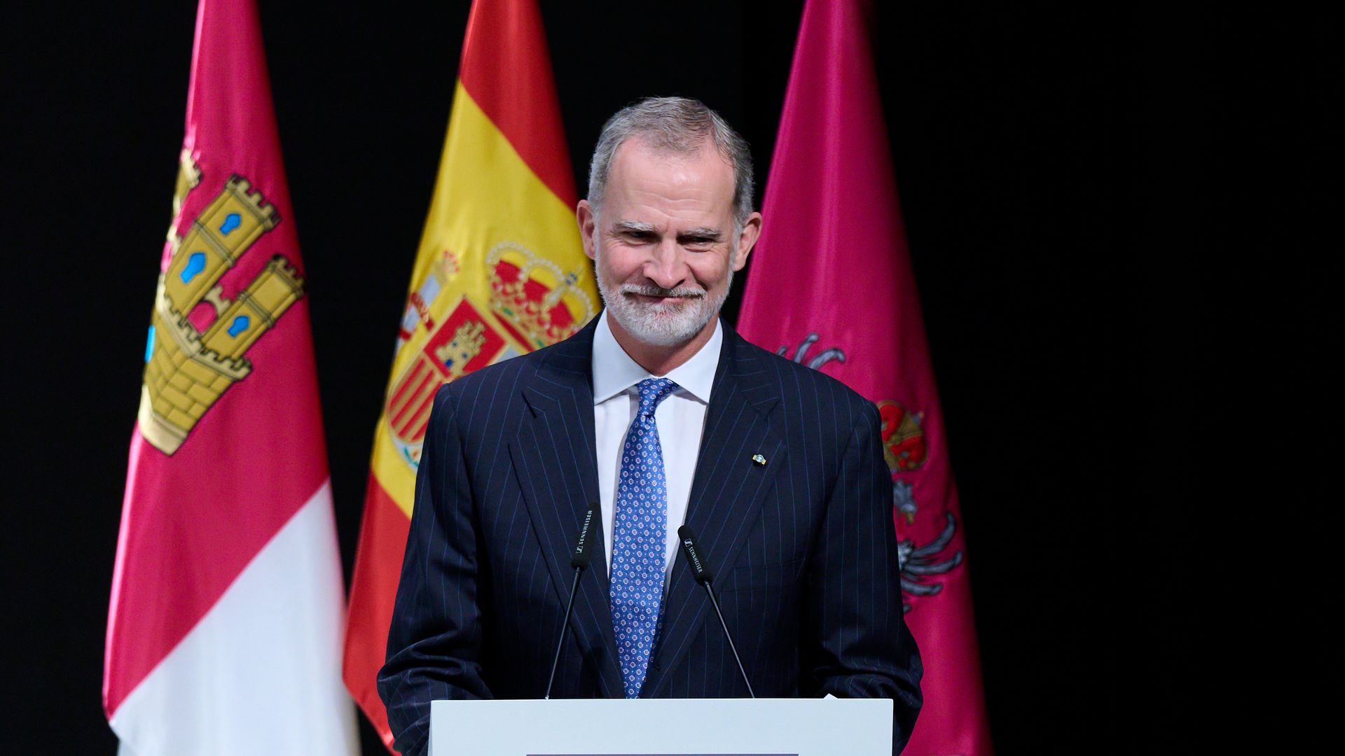 El rey Felipe en la entrega de Medallas a las Bellas Artes 2024