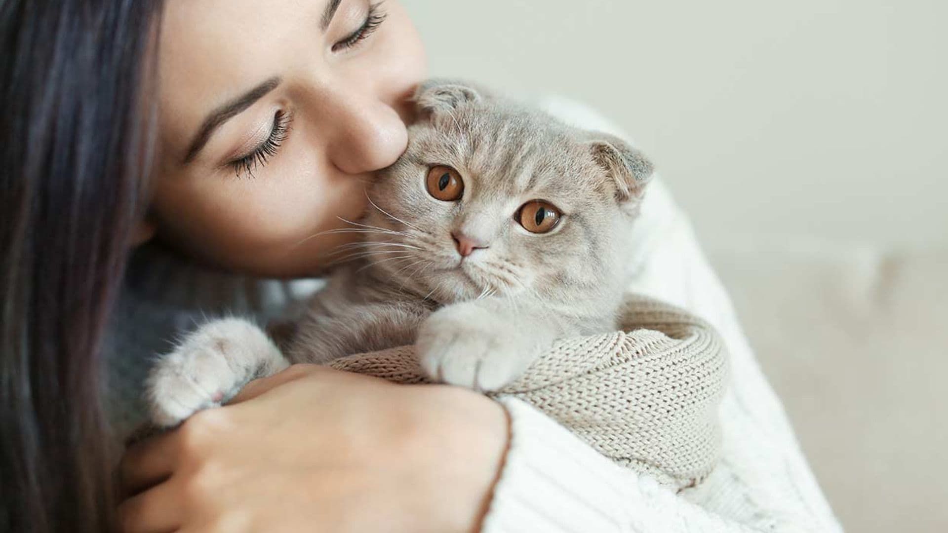 Tu gato te quiere y así te lo comunica