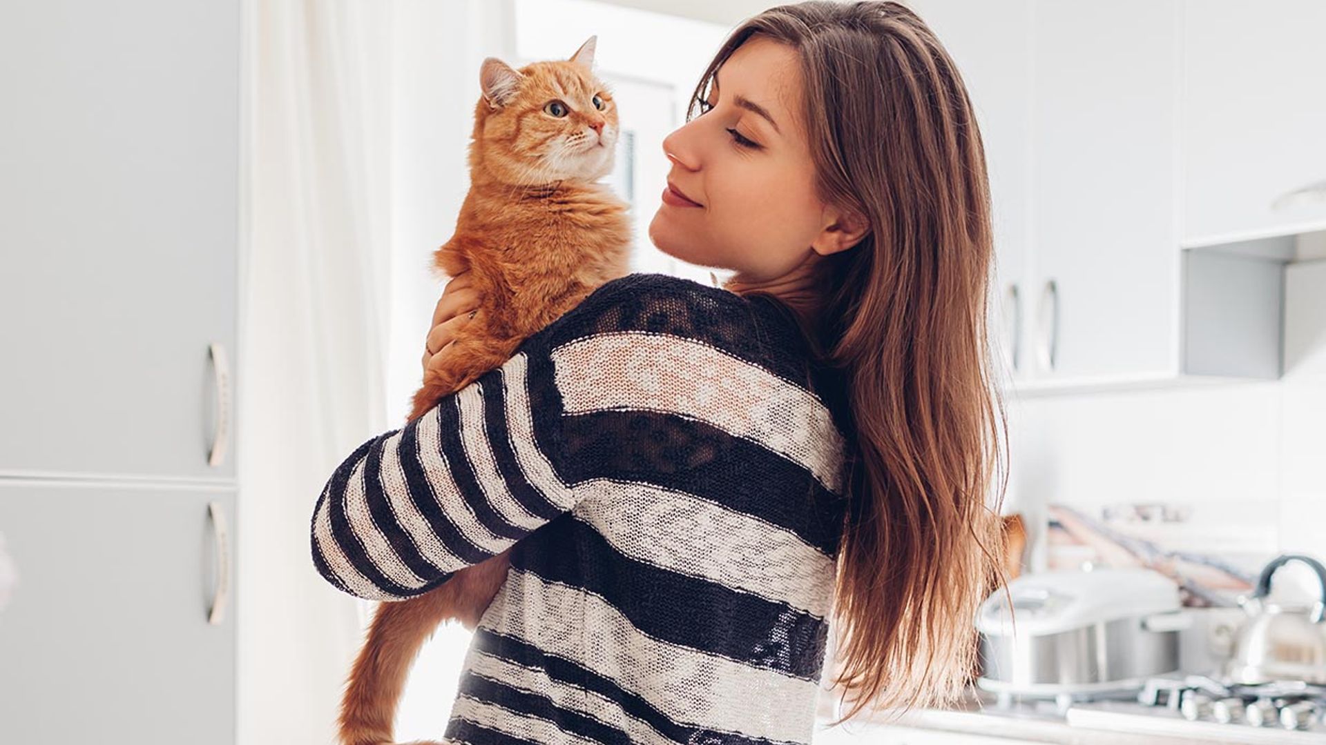 Razones científicas por las que los gatos también son el mejor amigo del ser humano