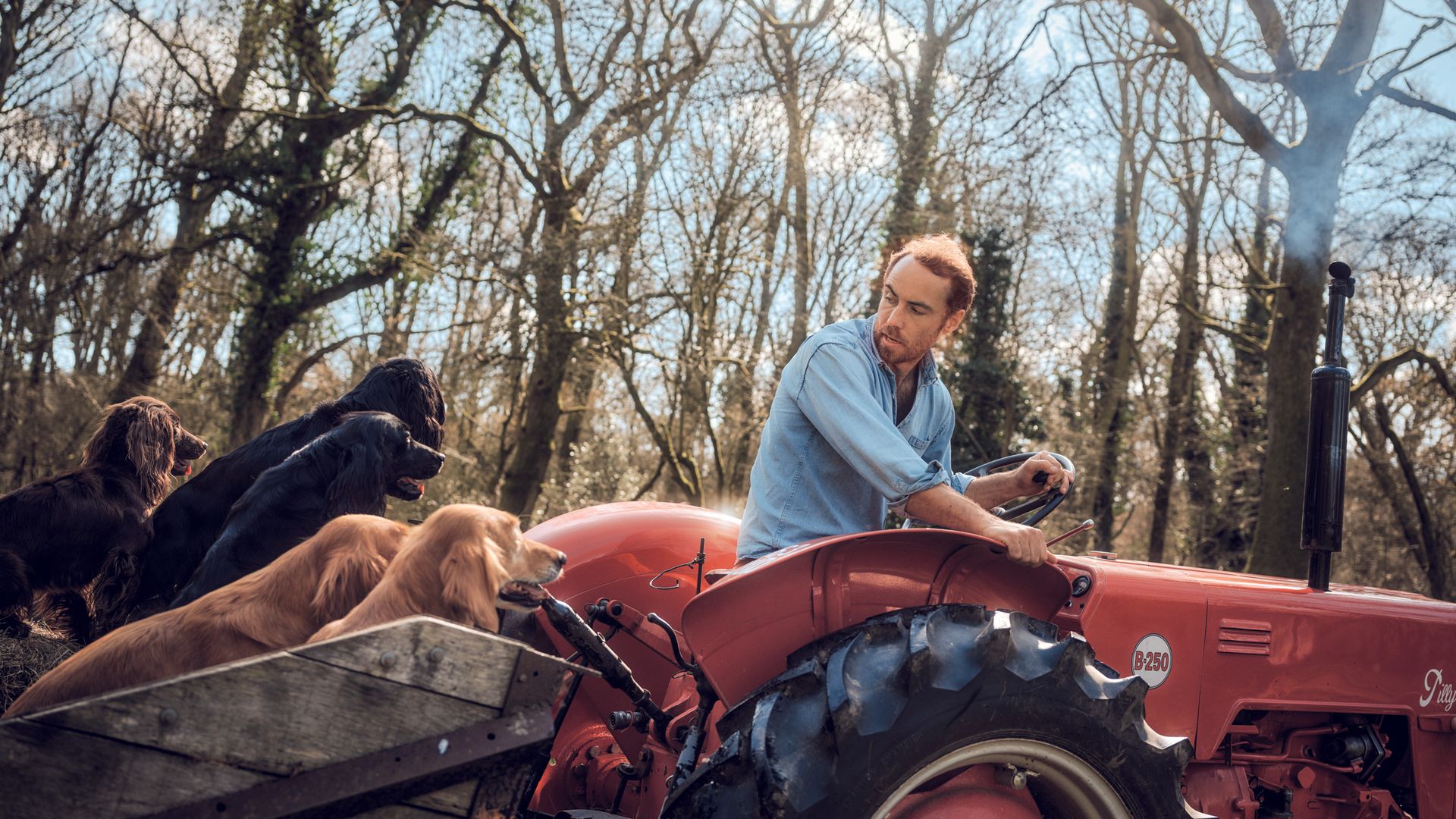 JAMES MIDDLETON HERMANO DE LA PRINCESA DE GALES, NOS RECIBE EN SU casa de campo DE BERKSHIRE: "A MENUDO, LOS PERROS NOS ACABAN SALVANDO"