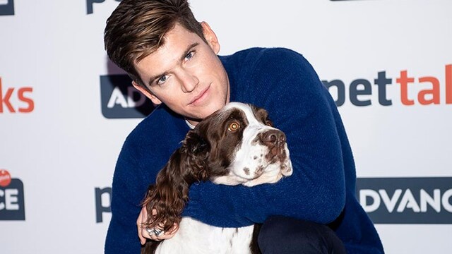 bernardeau perros