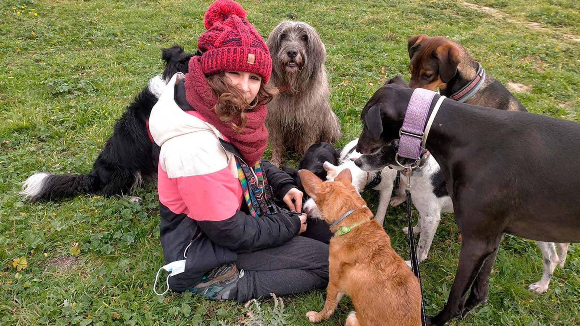 Confesiones de una cuidadora de perros
