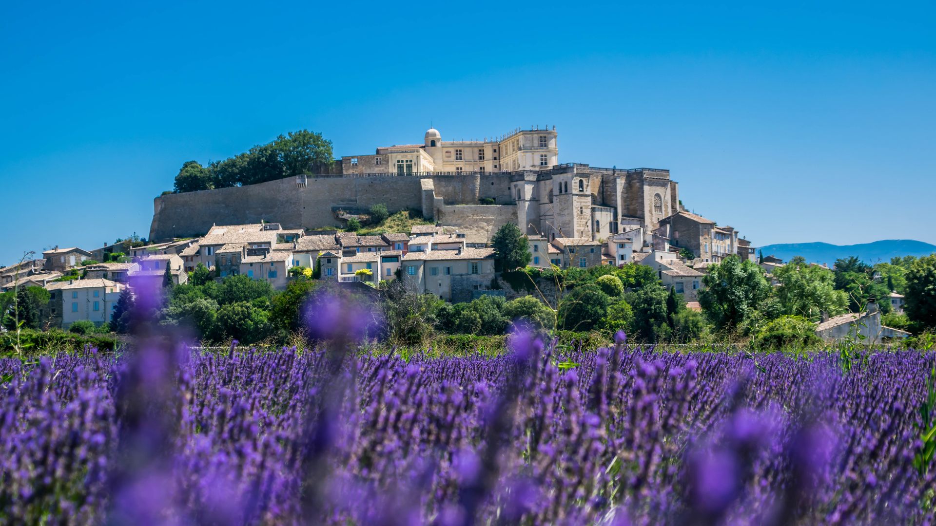 Campos de lavanda y panorámica de Grignan, Francia