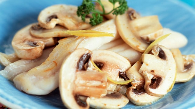 pescado champi age