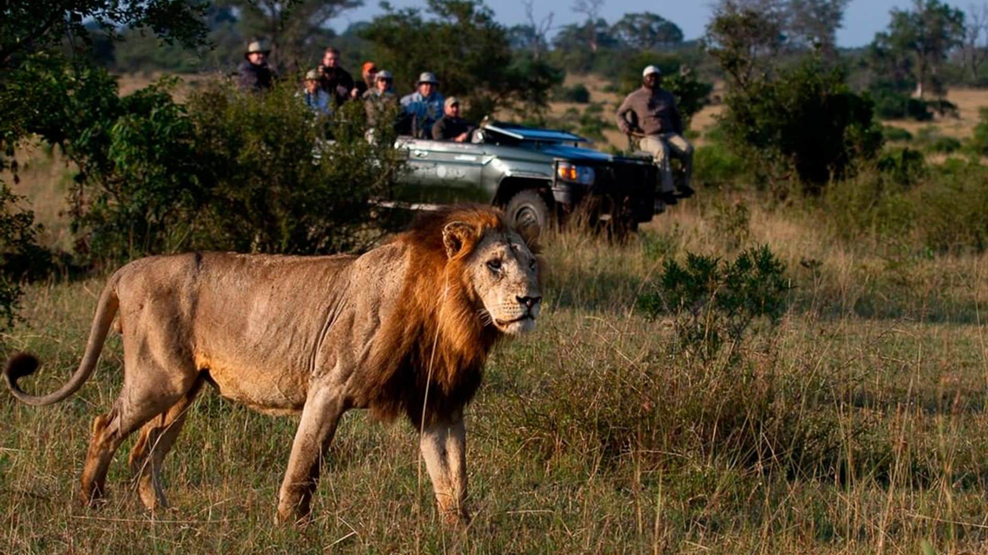 La experiencia de viajar al paraíso africano de Tamara Falcó e Íñigo Onieva