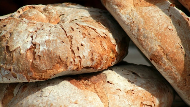 pan gallego age
