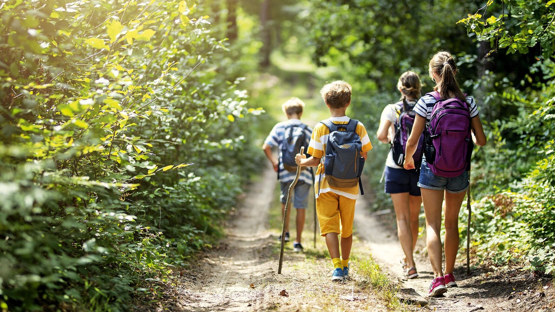 La naturaleza tiene muchos beneficios para la salud de los niños