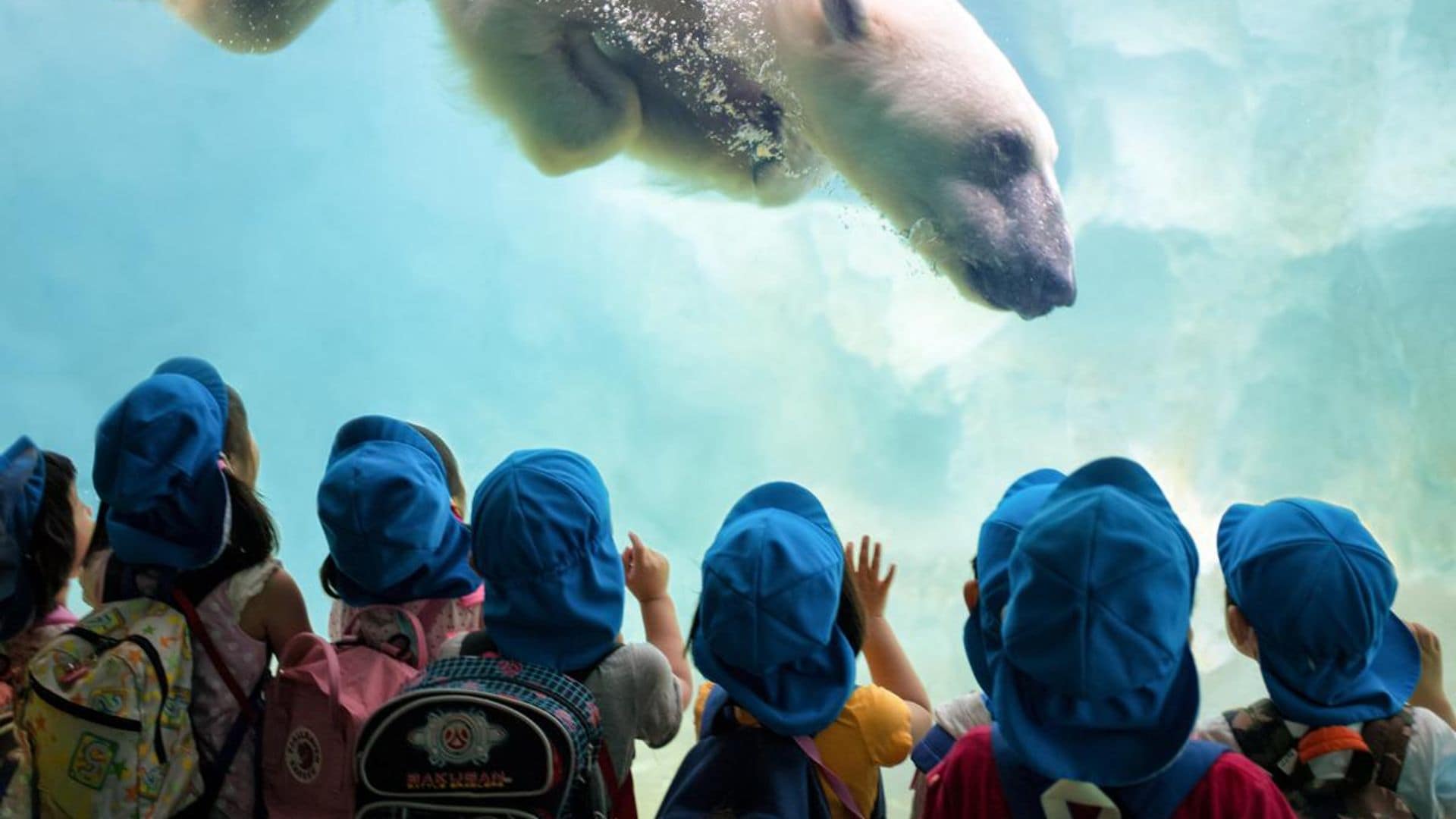 Zoos y parques temáticos para descubrir (y tocar) el mundo animal