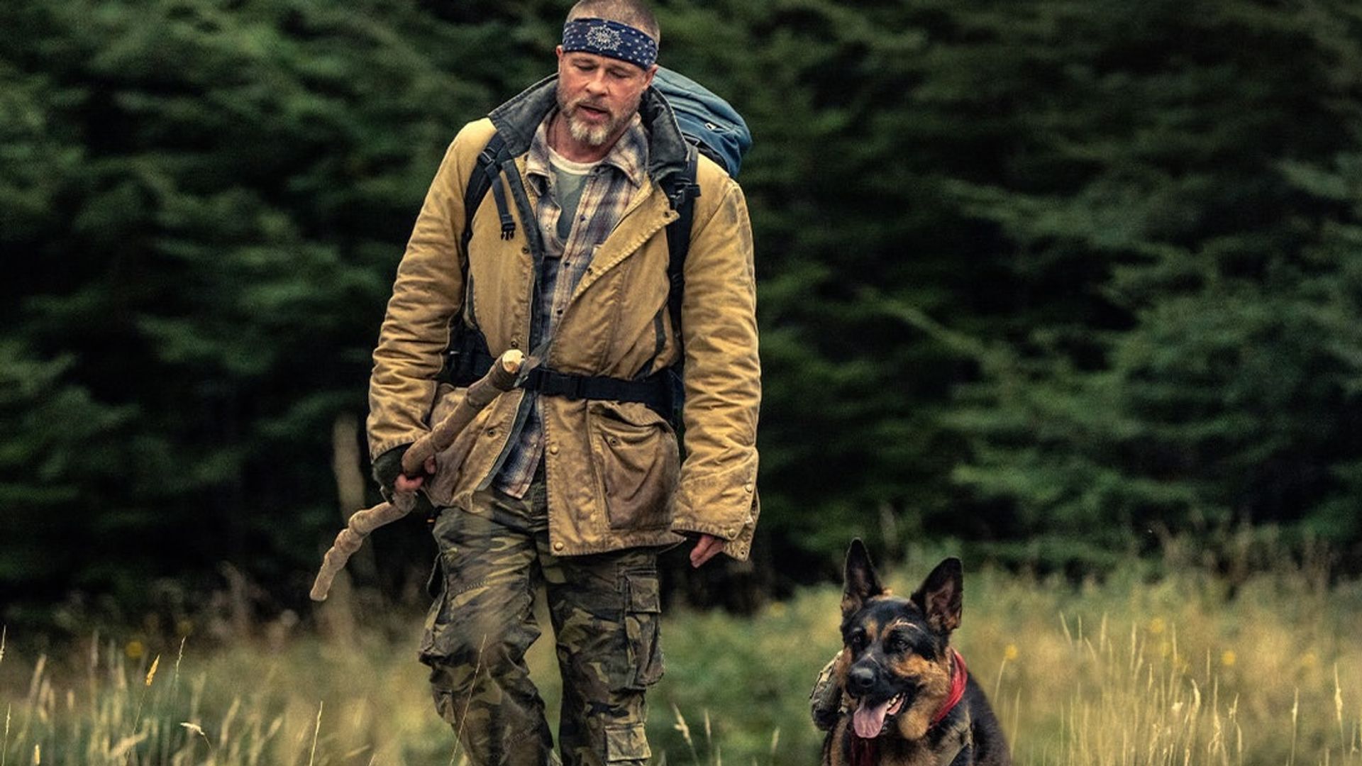 La Nueva Zelanda más salvaje que Brad Pitt convirtió en Alaska para su nueva película