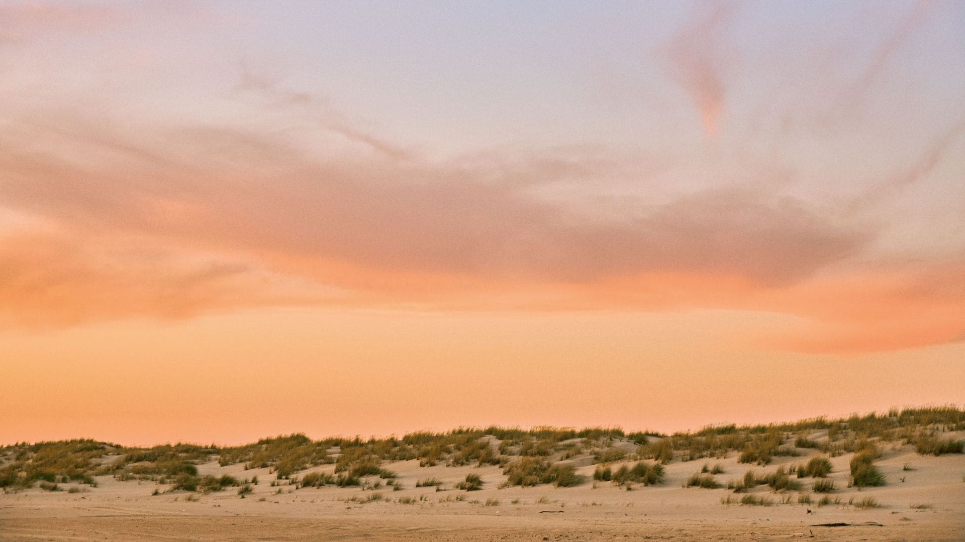 El paraíso de Doñana