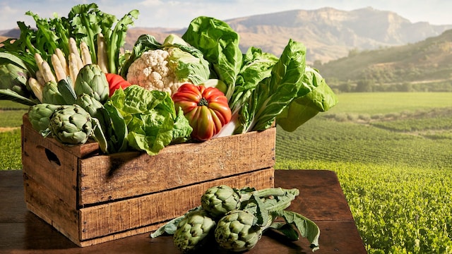 Verduras de la huerta de Navarra