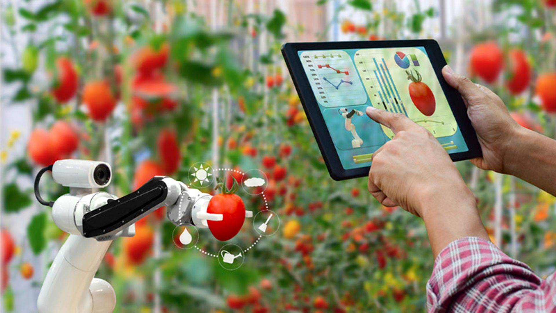 inteligencia artificial cocina nutricion
