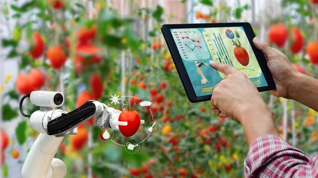 inteligencia artificial cocina nutricion