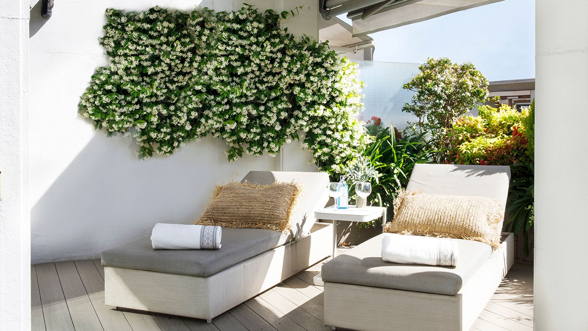 terraza con dos tumbonas, plantas en la pared, toldo, suelo de madera