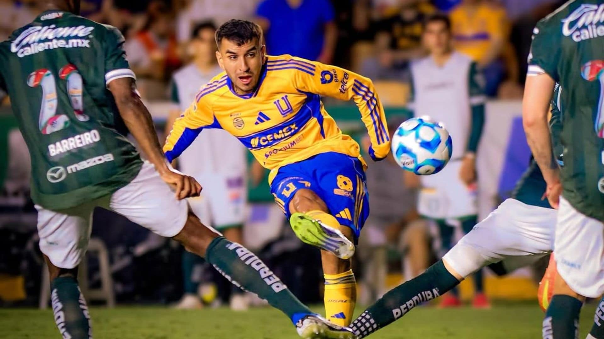 Ángel Correa se encuentra con un oso salvaje en pleno paseo familiar: el vídeo del gran susto