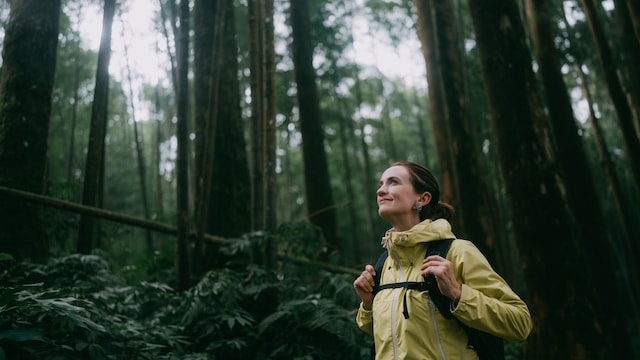 mujer haciendo senderismo en el bosque