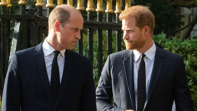 Príncipes Harry y Guillermo de Inglaterra