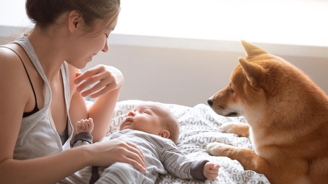 beb con mam y mascota