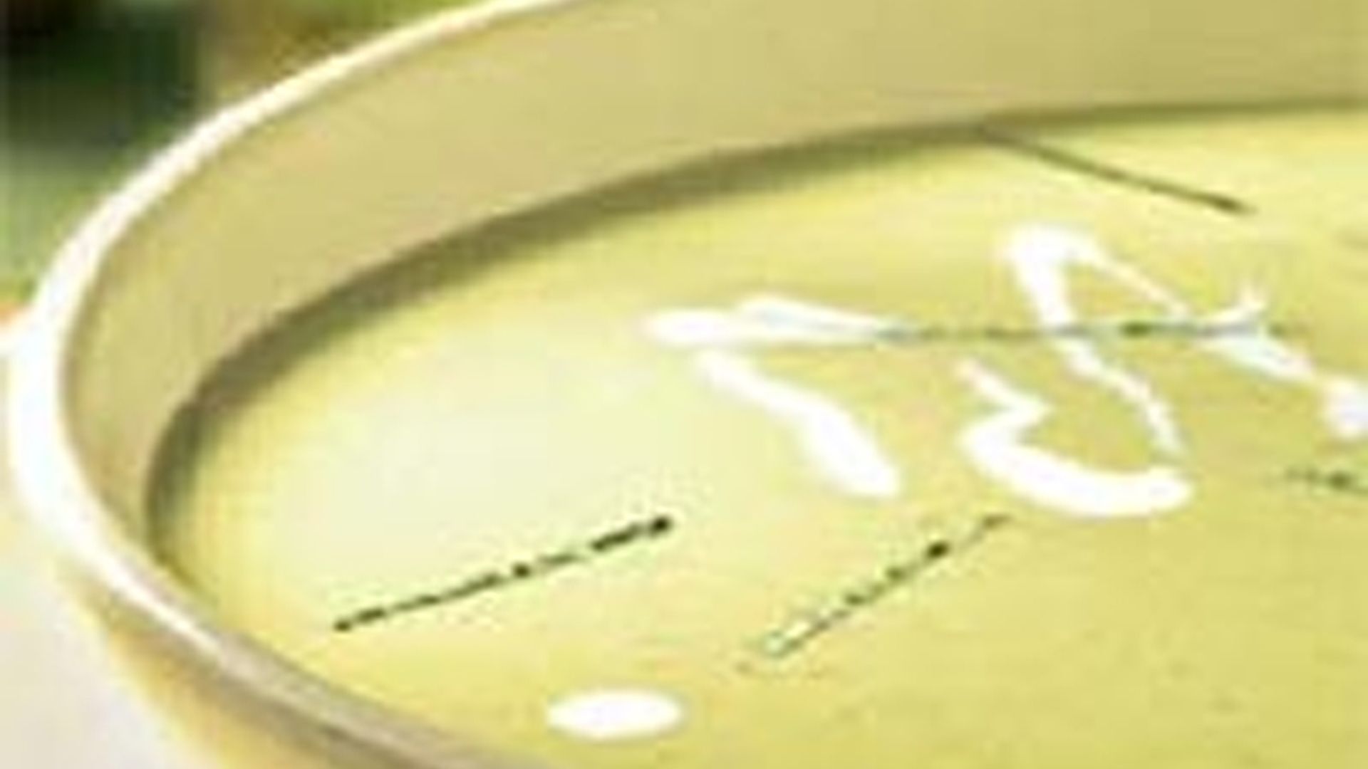 Vichyssoise de higos
