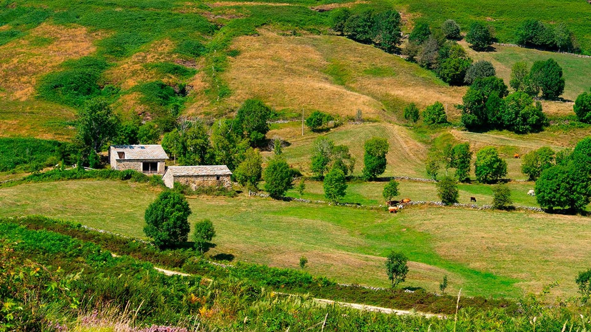 Los otros valles pasiegos que no son de Cantabria sino de Burgos
