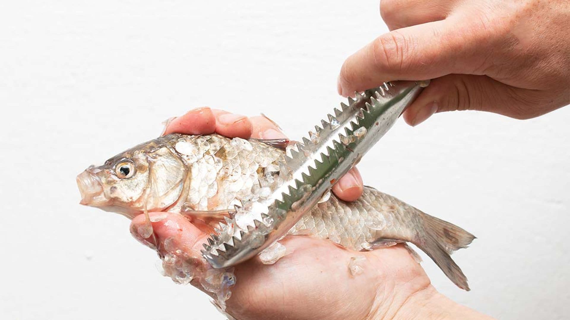 ¿Sabes limpiar correctamente el pescado? Te enseñamos cómo hacerlo paso a paso
