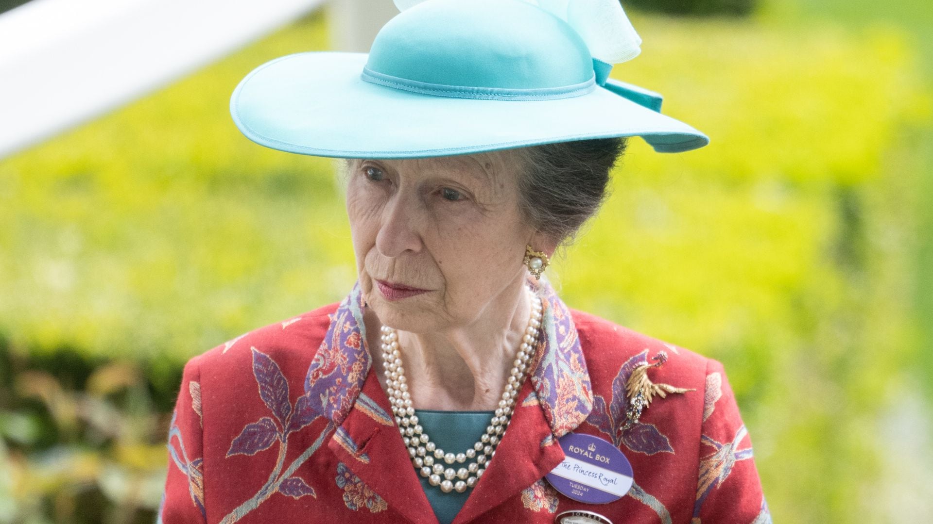La princesa Ana, ingresada tras sufrir una conmoción cerebral