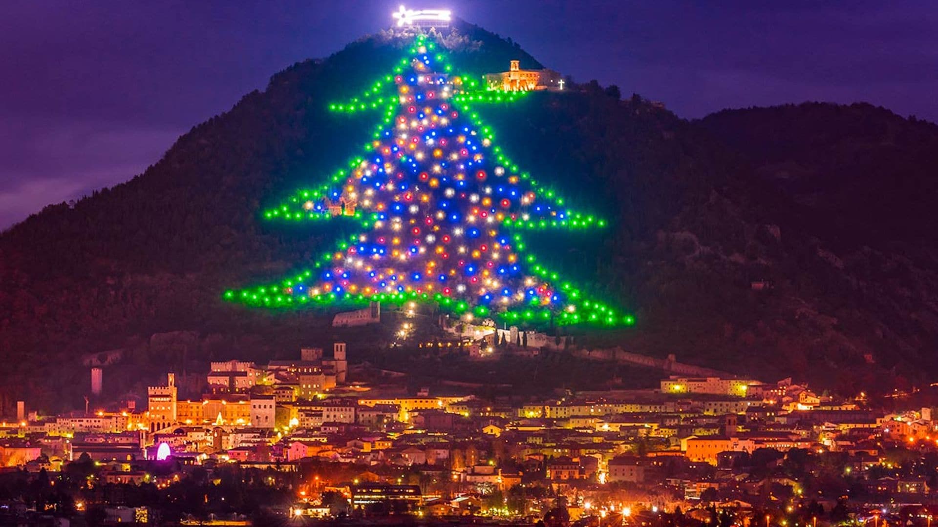 Así brillan los árboles de Navidad más bonitos del mundo