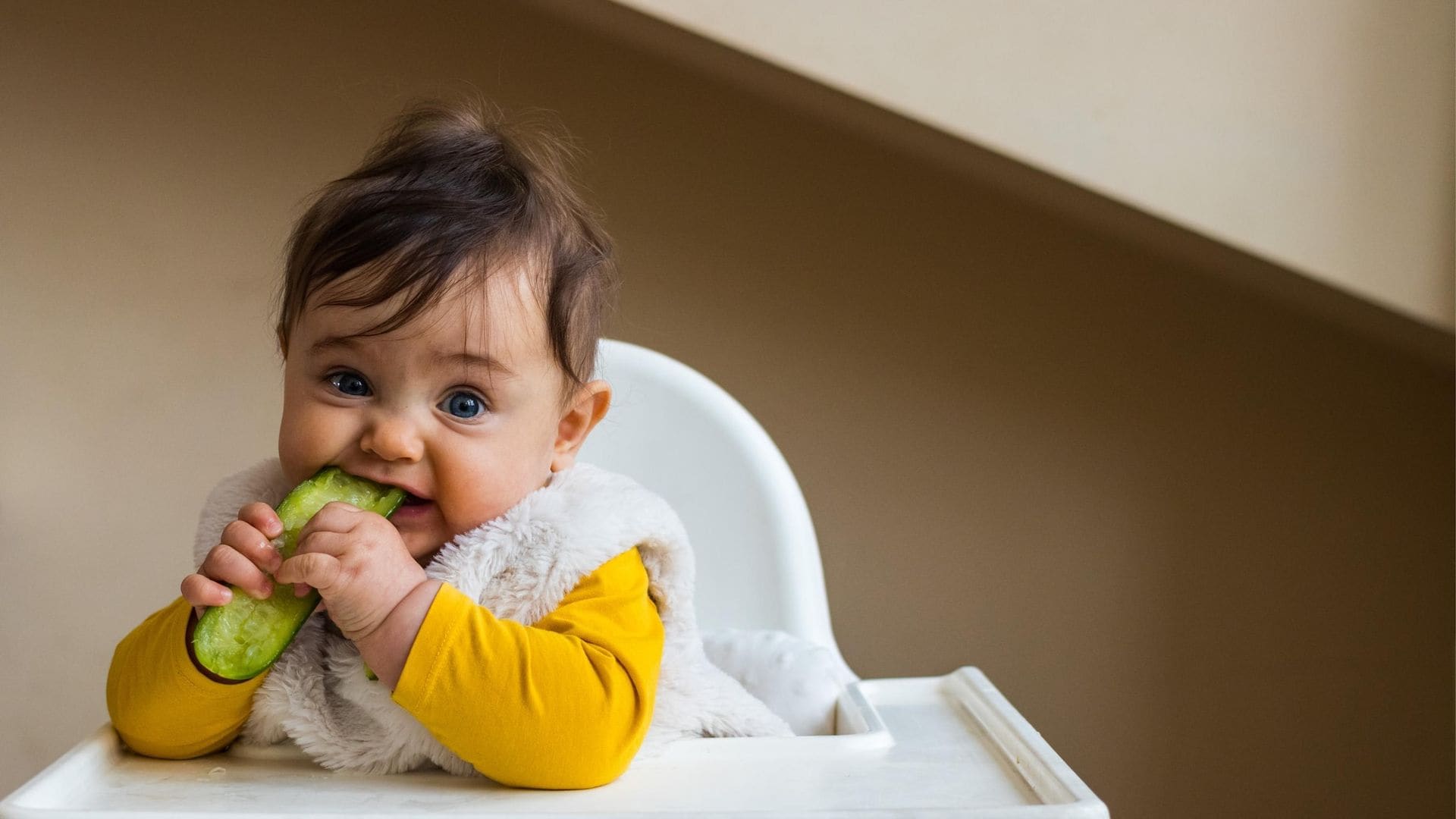 ¿Cuáles son los alimentos ideales para iniciar la alimentación complementaria?