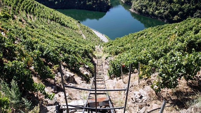 ribeira sacra