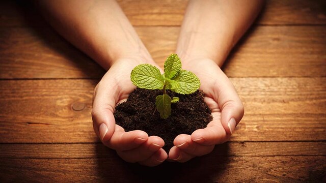 alimentasplaneta
