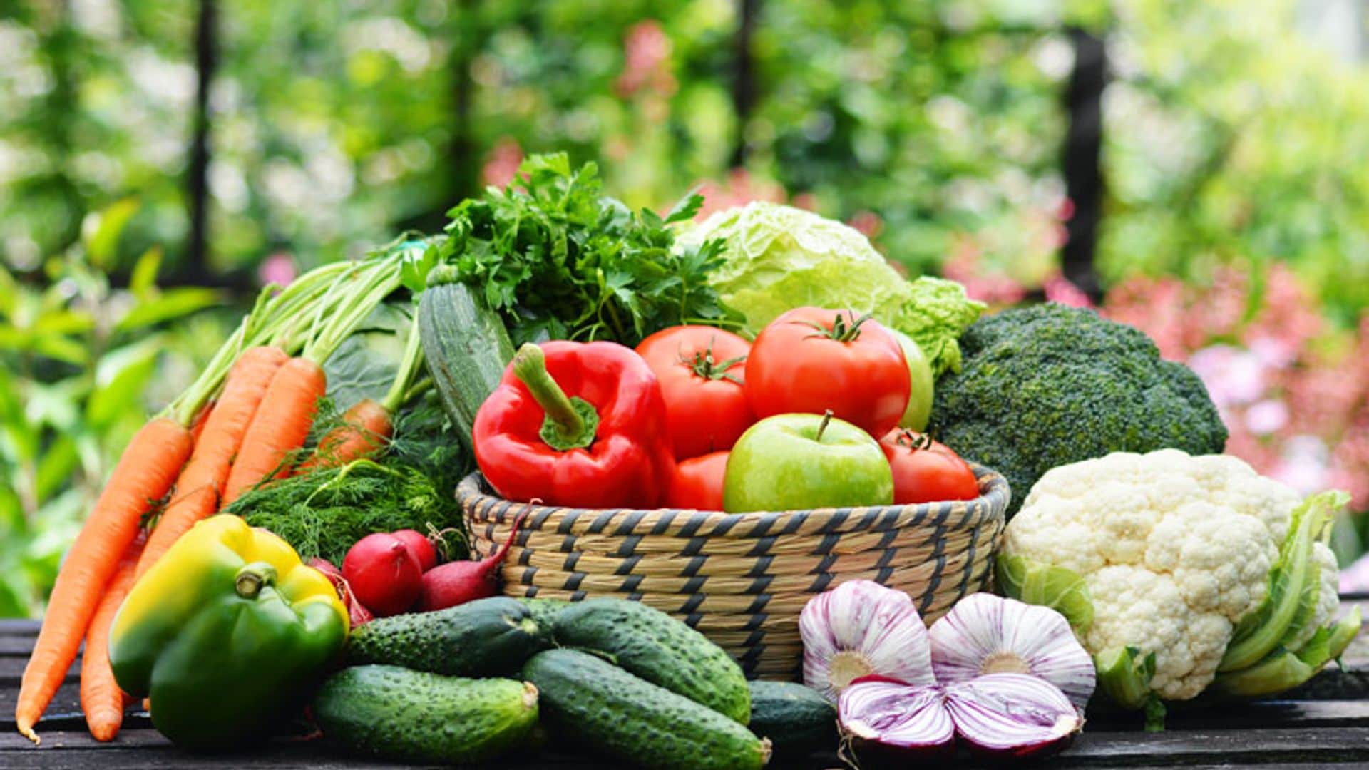 portada_nutrientes