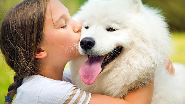 terapia animales beneficios mascotas 1