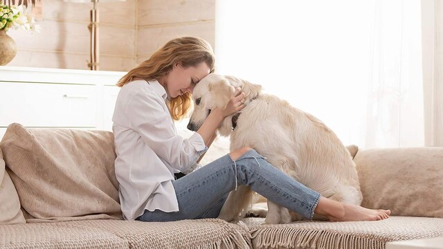 como mejora personalidad humana tener mascota perro gato mas empatia