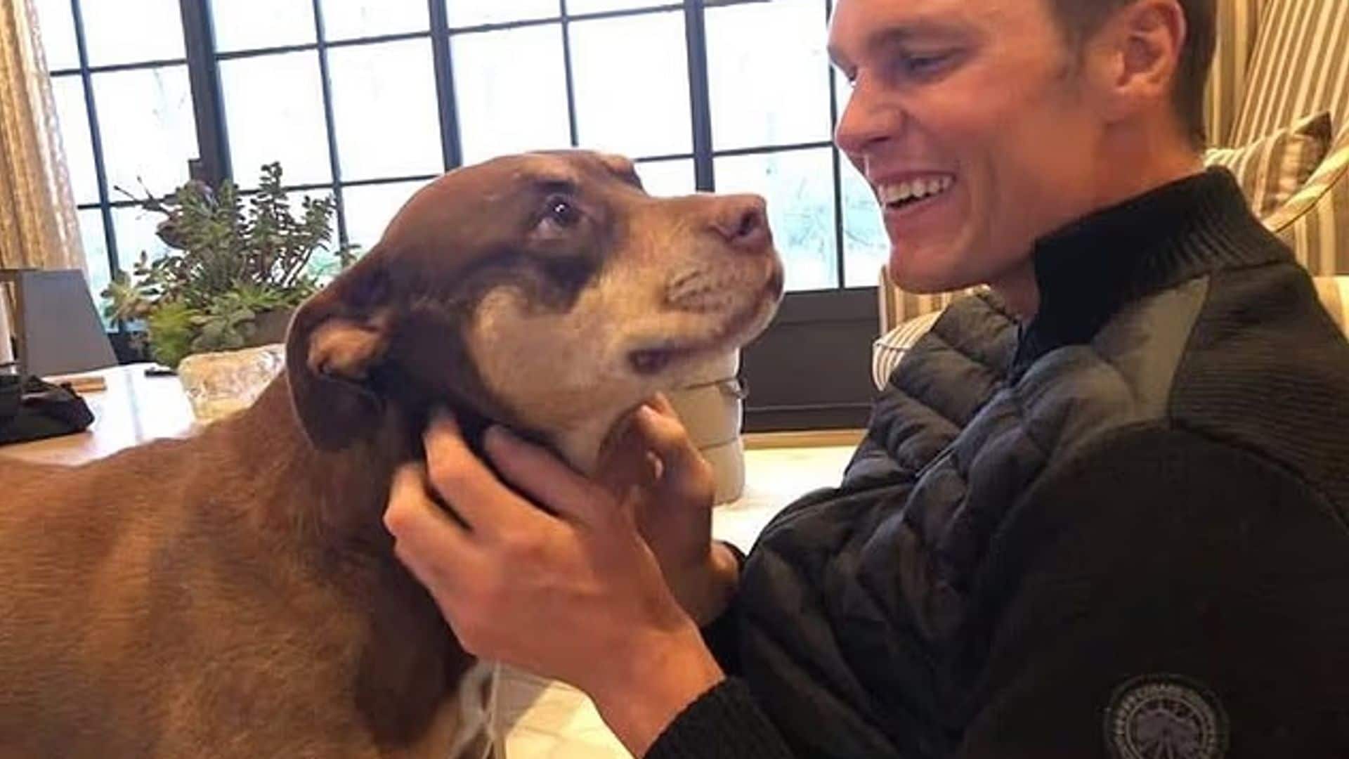 Tom Brady revela que su perro Junie es un clon de Lua, su mascota que murió hace dos años