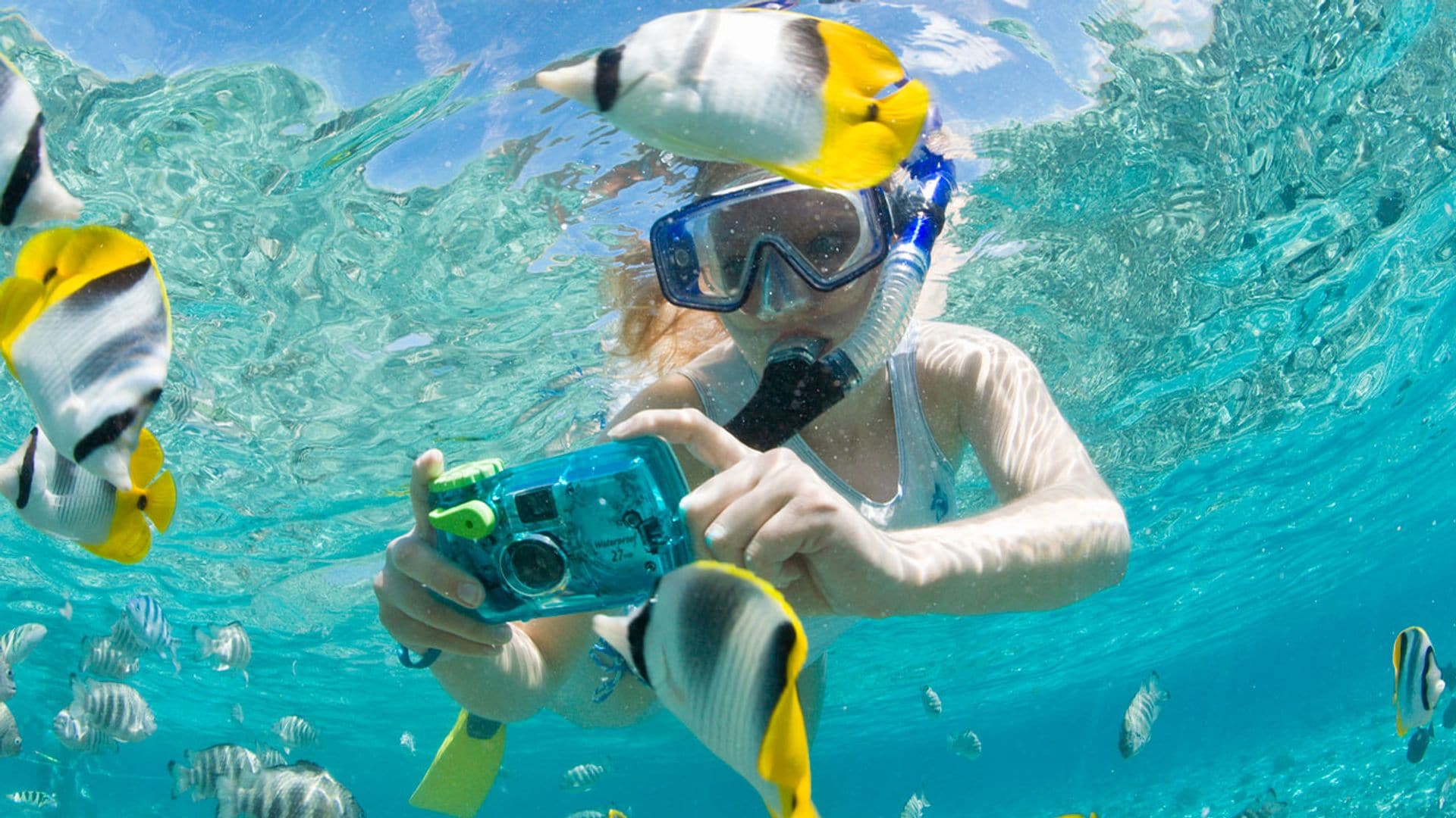 Las mejores cámaras acuáticas del mercado para hacer fotos y vídeos bajo el agua