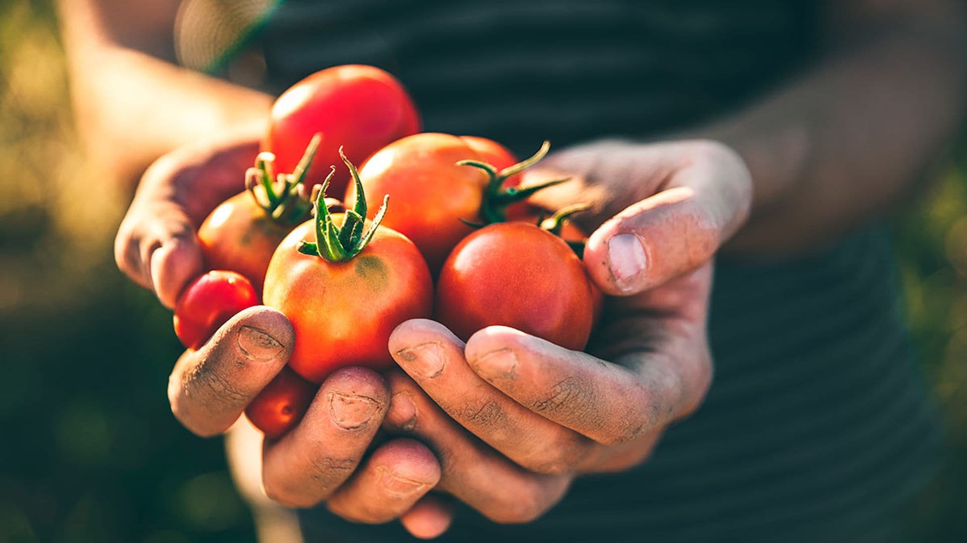 El Arca del Gusto: estos alimentos están en peligro de extinción ¡salvémoslos!