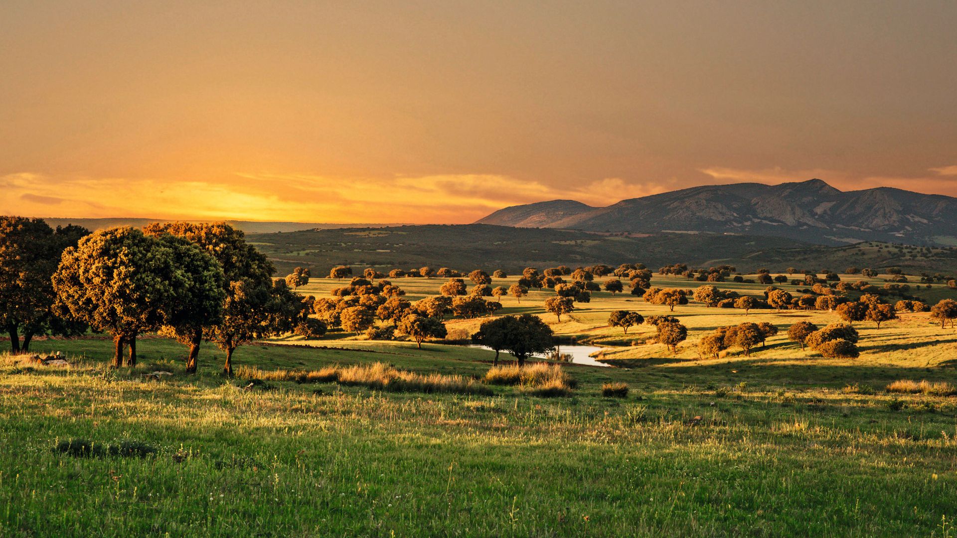 Una panorámica del terreno de la finca, que pertenece al Parque Natural de Despeñaperros