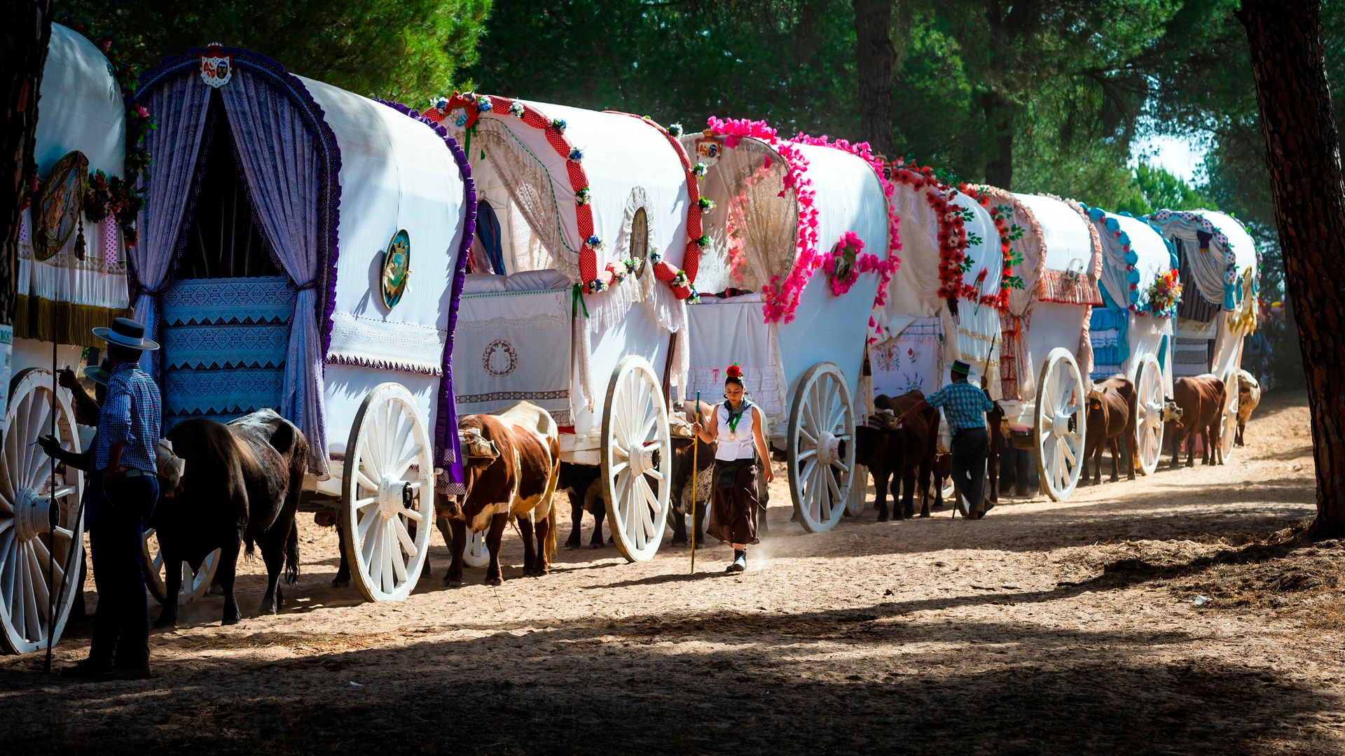 Romería del Rocío 2025: tradiciones y planes que no puedes perderte